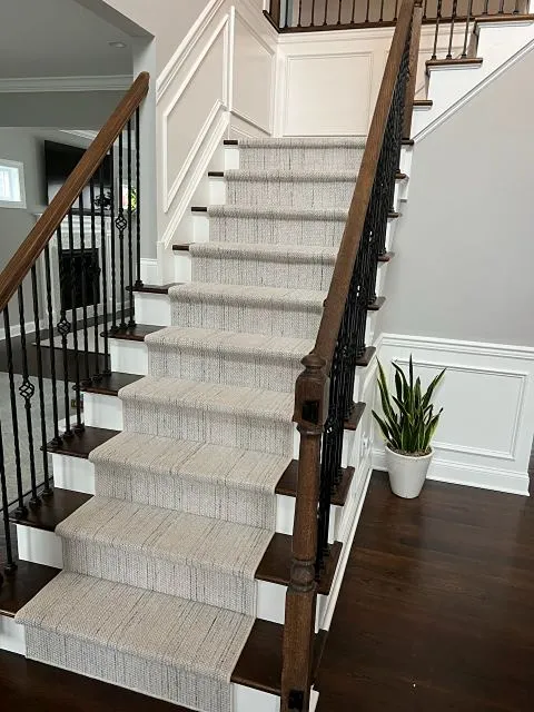 Carpeted stairs in the entryway scene with green snake plant